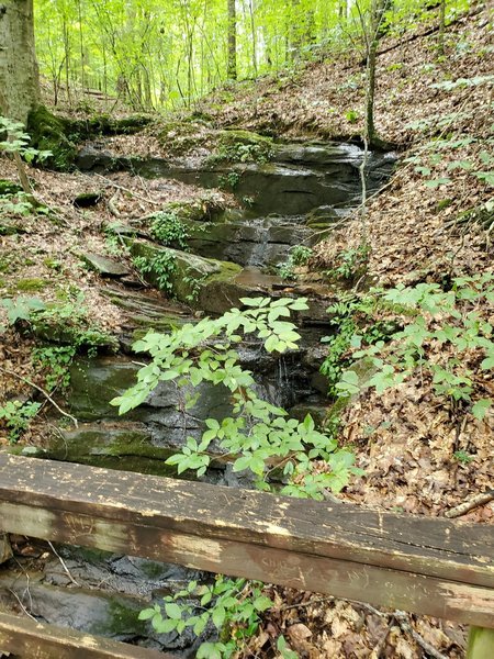 Bridge over creek along trail.