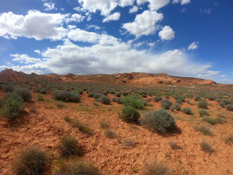 Beginning of Hurricane Wash Trail.