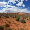 Beginning of Hurricane Wash Trail.