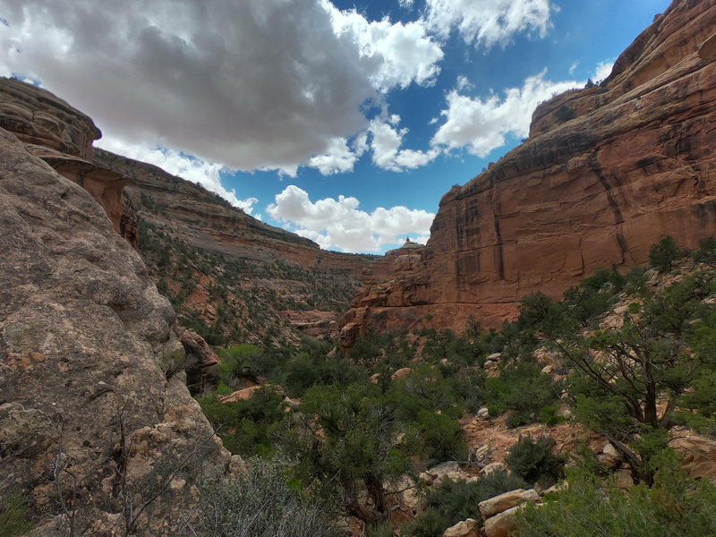 The walls of Bullet Canyon create a nice contrast with the blue desert sky.
