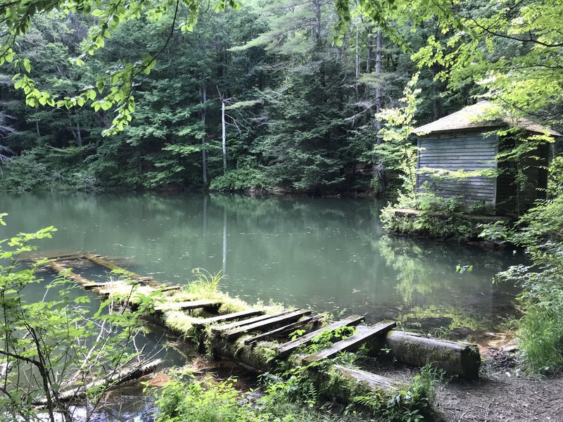 The dock at Monk Pond.