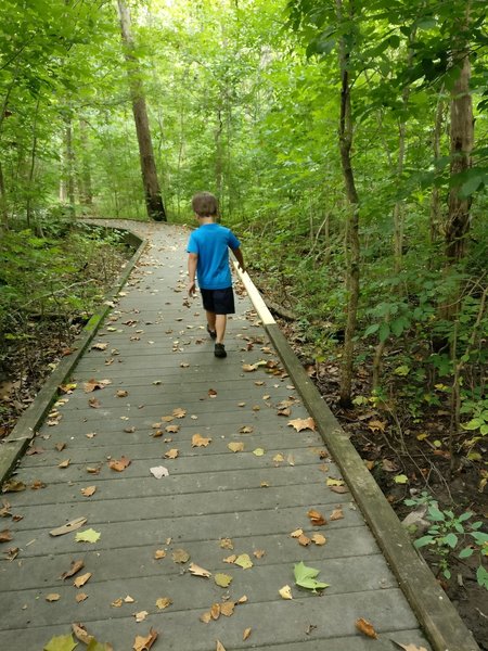 The Wetlands Boardwalk