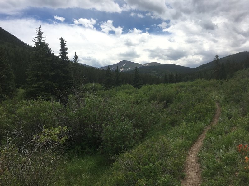 West Buffalo Peak from above Tumble Creek. Three miles from end of loop going counterclockwise.