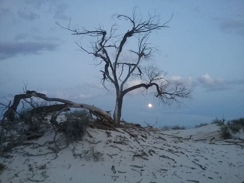 Full moon during our full moon hike