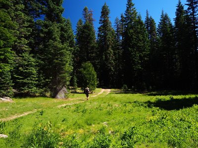 A small meadow along the trail to the lake