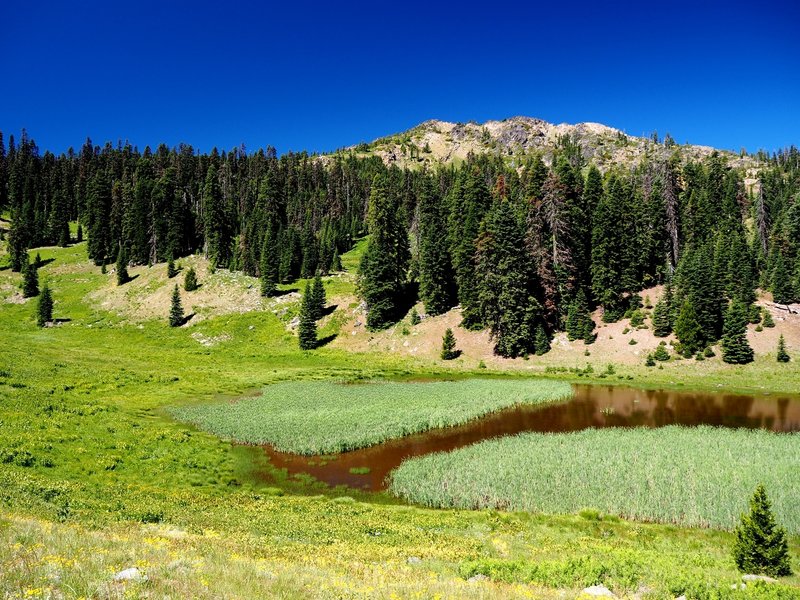 Arnold Mountain above Hinkle Lake