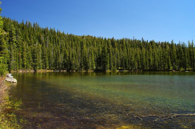 Azalea Lake in 2014