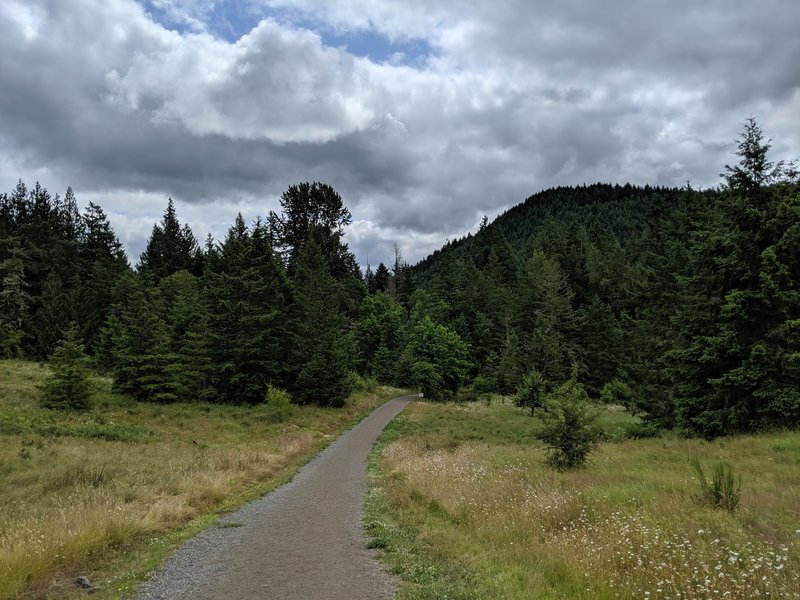 Looking out from the trailhead.