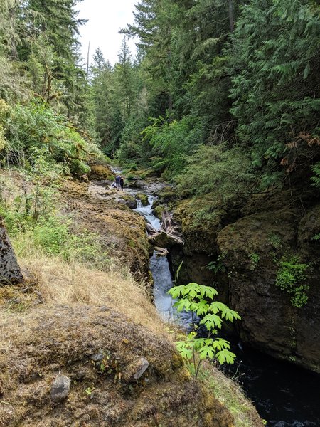 Waterfall with stump feature off the Deschutes River.