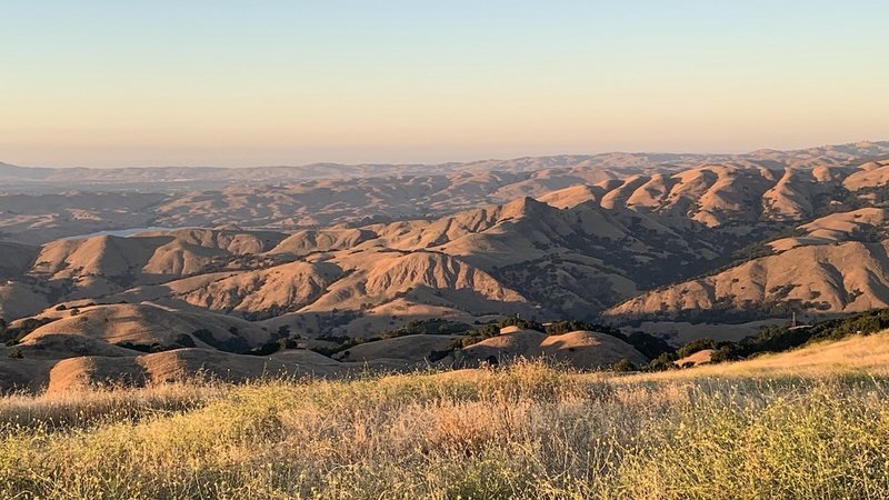 Looking north at sunset on a warm July evening. Hills were covered with dry grass from here to Mt. Diablo.