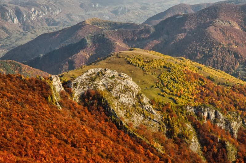 Autumn in Apuseni.