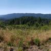 Overlook of the County Park.