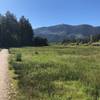 Walking back from the lake