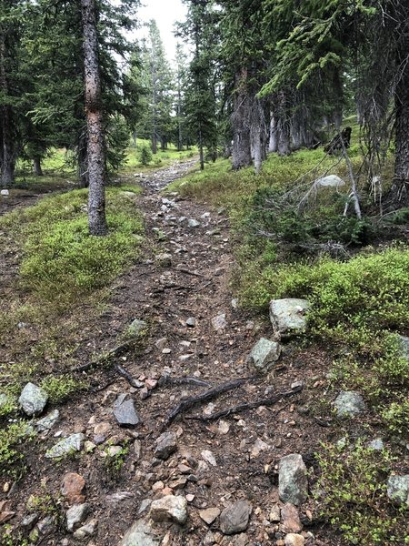 Steep rocky descent.