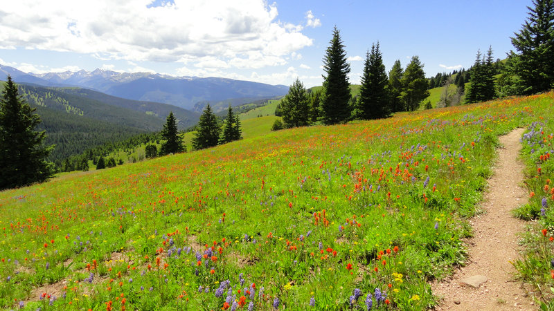 There was a ridiculous amount of flowers.