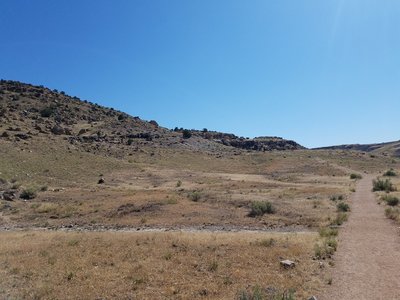 Hillside full of fossils.