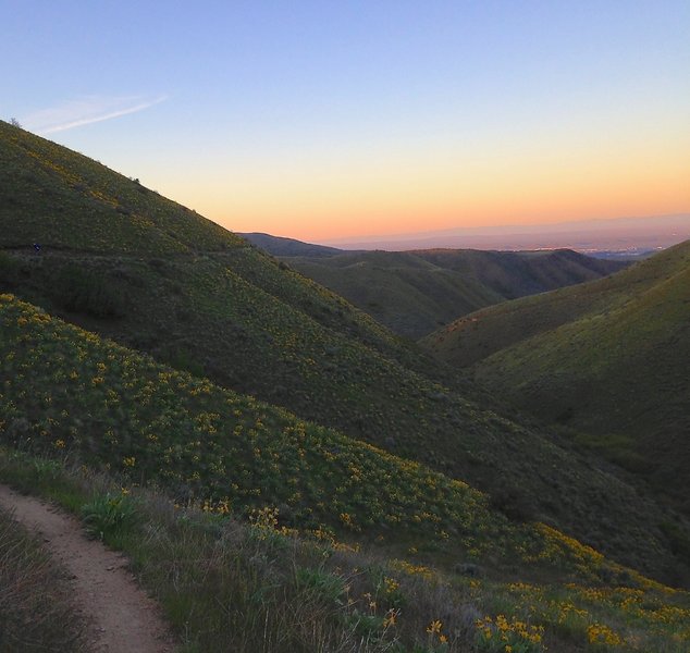 Watchman Trail is in the spring when wildflowers are blooming.