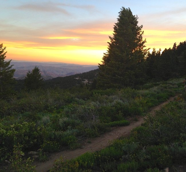 Climbing out from the Deer Point intersection to the first of many nice vistas.