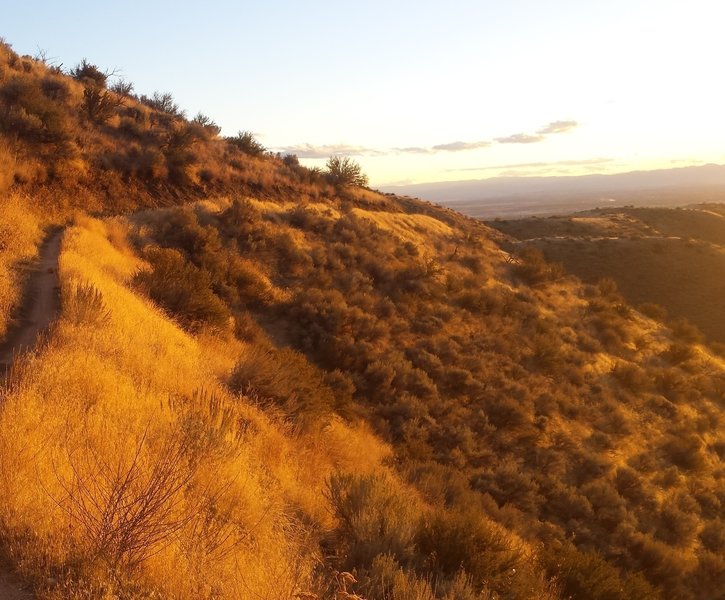 Golden hour in the foothills.