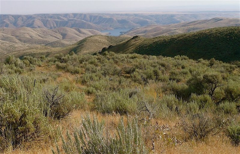 View from the bottom of Hornet Loop.