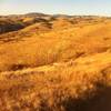 Afternoon light on the Boise Foothills