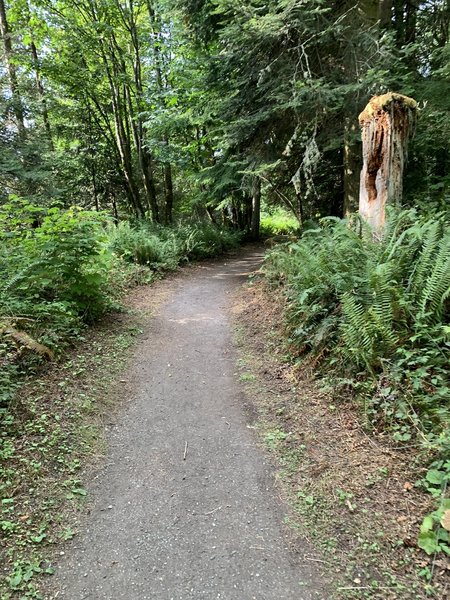 View on the trail.