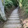 Stairs going up to the wooded trail.