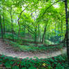 Deep ravine scenery on the South Loop at Illiniwek.