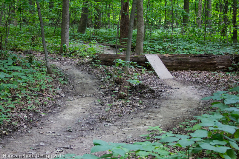 Optional log over features on the upper North Loop trail.