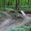 Optional log over features on the upper North Loop trail.