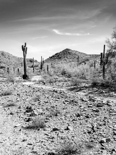 South Mountain, Arizona 8