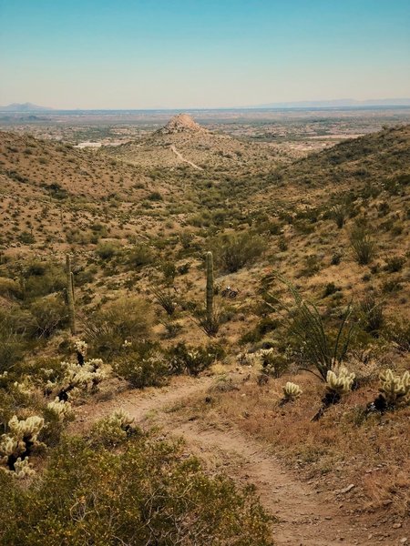 Top of Cholla Run looking towards White Peak.