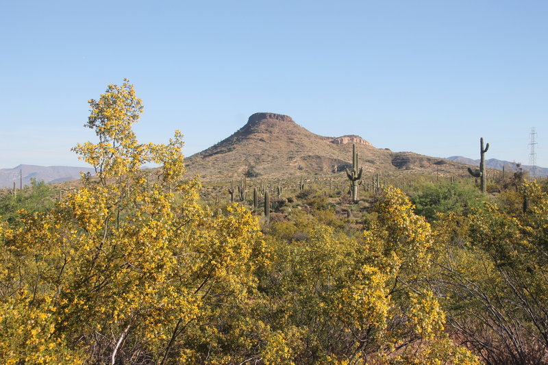 Brown's Ranch Park in Scottsdale, Arizona.