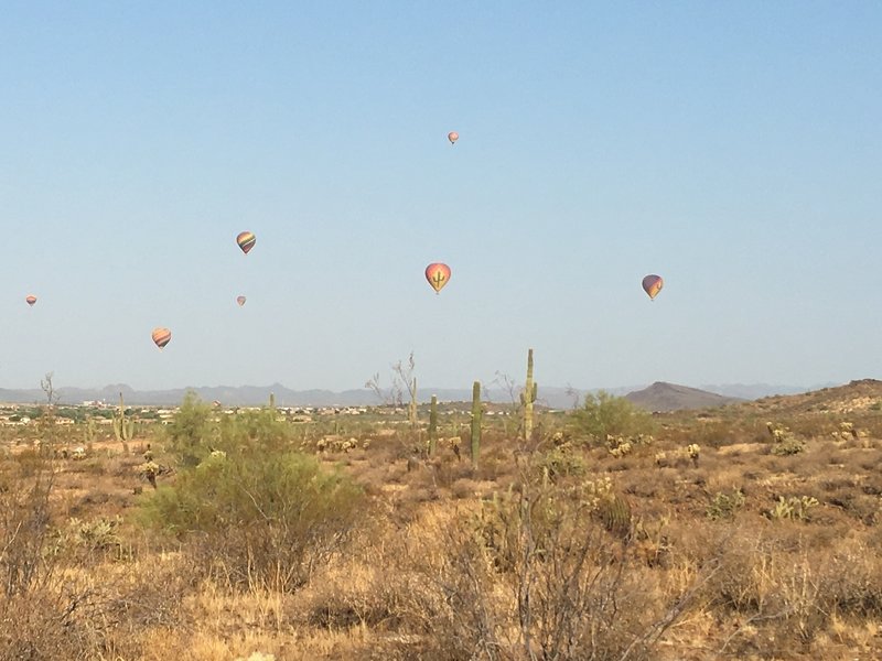 Balloons on a September morning at Ocotillo Trail.