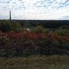 View from on top of the bluff.