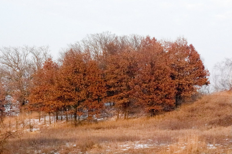 Lebanon Hills Regional Park