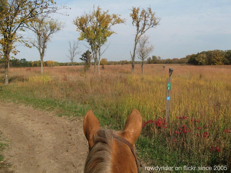 Lopers ahead.