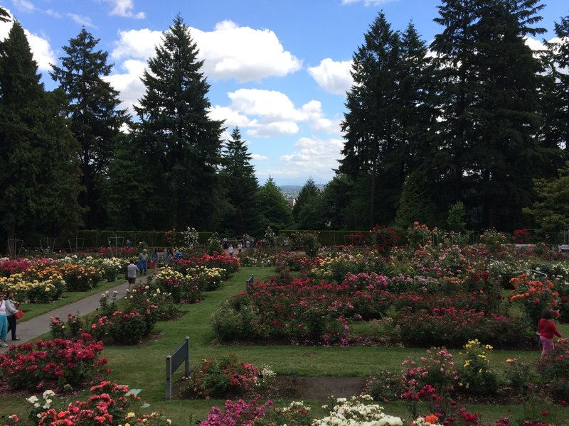 Japanese Garden Trail