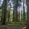 Tualatin Hills Nature Reserve