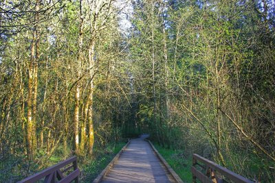 Tualatin Hills Nature Reserve