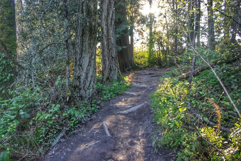 Tualatin Hills Nature Reserve