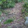 Tualatin Hills Nature Reserve