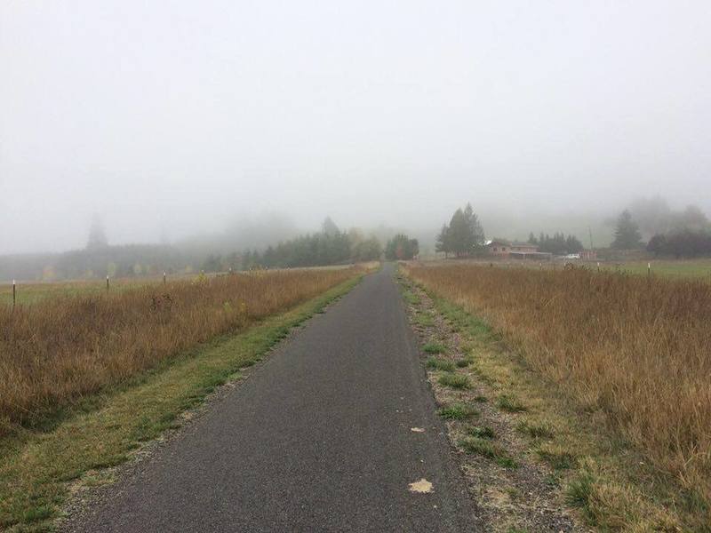 Foggy fields right before the climb up to Stub Stewart.