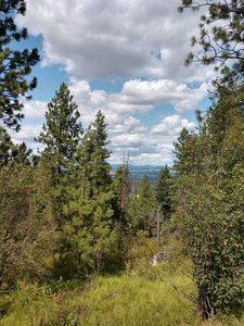 A view of the Valley and very nearly Mt. Spokane.