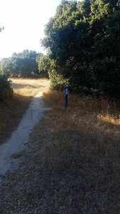 Monterey County Trail 57