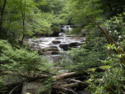 One of the many waterfalls to behold on Otter Creek. If you look closely, there is even the more numerous rhododendron in bloom.