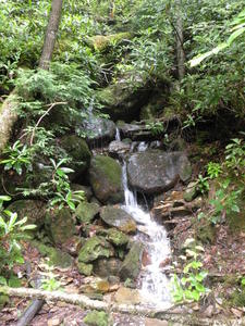 "Just how many picturesque waterfalls can we see on this hike?" said the Dad to his son.