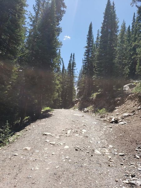 Heading up the Mayflower Gulch Trail.