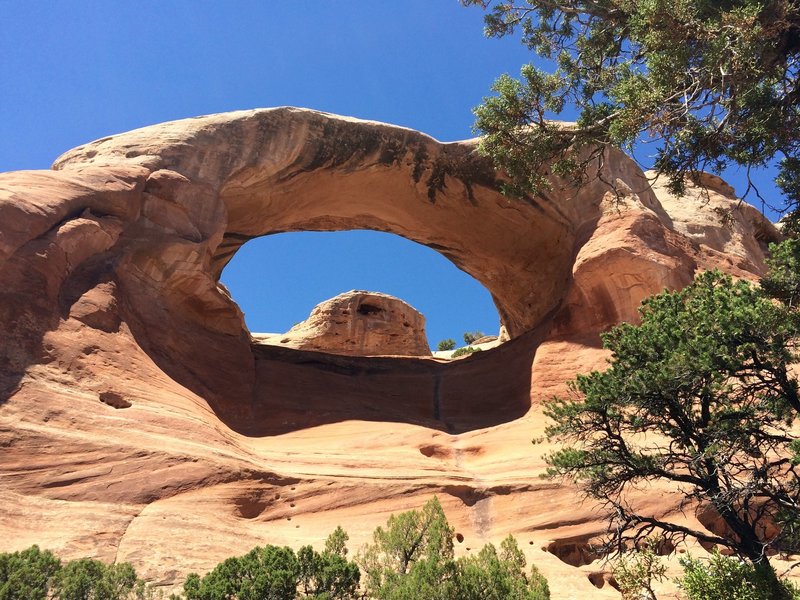 This shot of Arch 4 shows the carved steps used to exit the canyon. Steps are left of center just above shrubs.