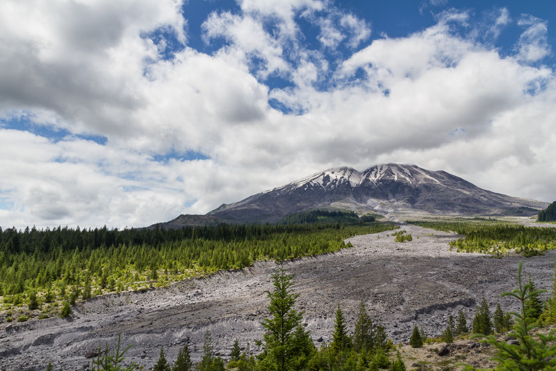 It looks like a glacial moraine, but it's actually a mud/lava flow from the 1980 eruption.